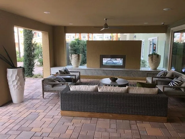 Reliable yard maintenance for beautiful yards across Albuquerque, NM - Cactus & Canopy