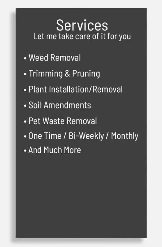 Custom outdoor landscaping for beautiful yards in Twentynine Palms, CA by Cactus and Stone