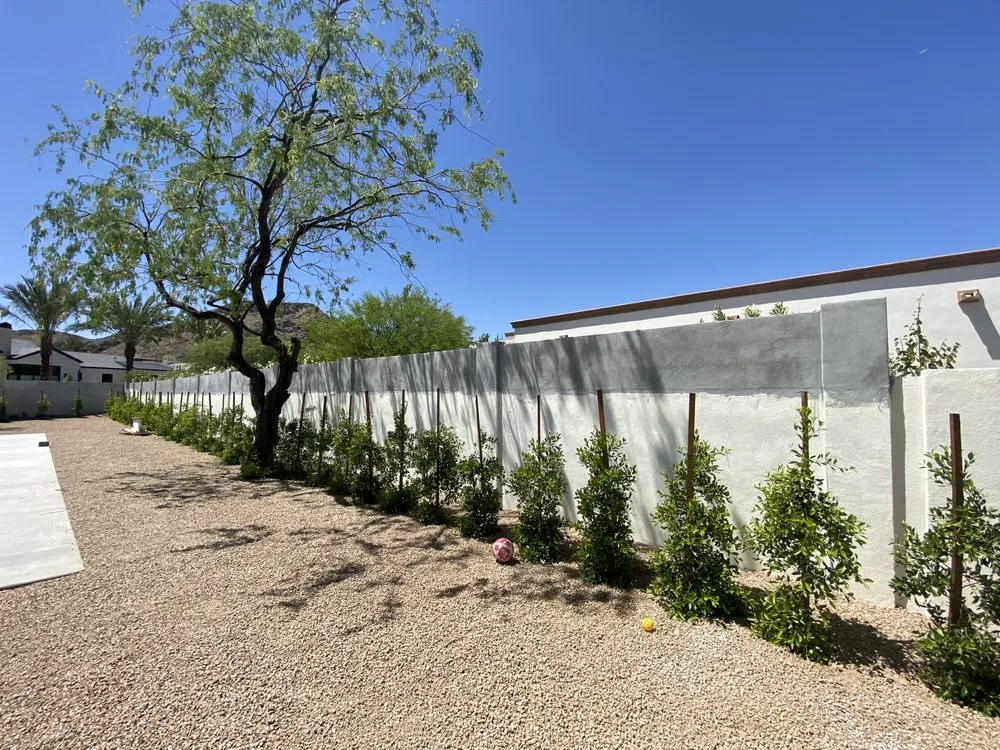 Trusted yard cleanup service in Phoenix, AZ by Cactus Hardscape Innovations