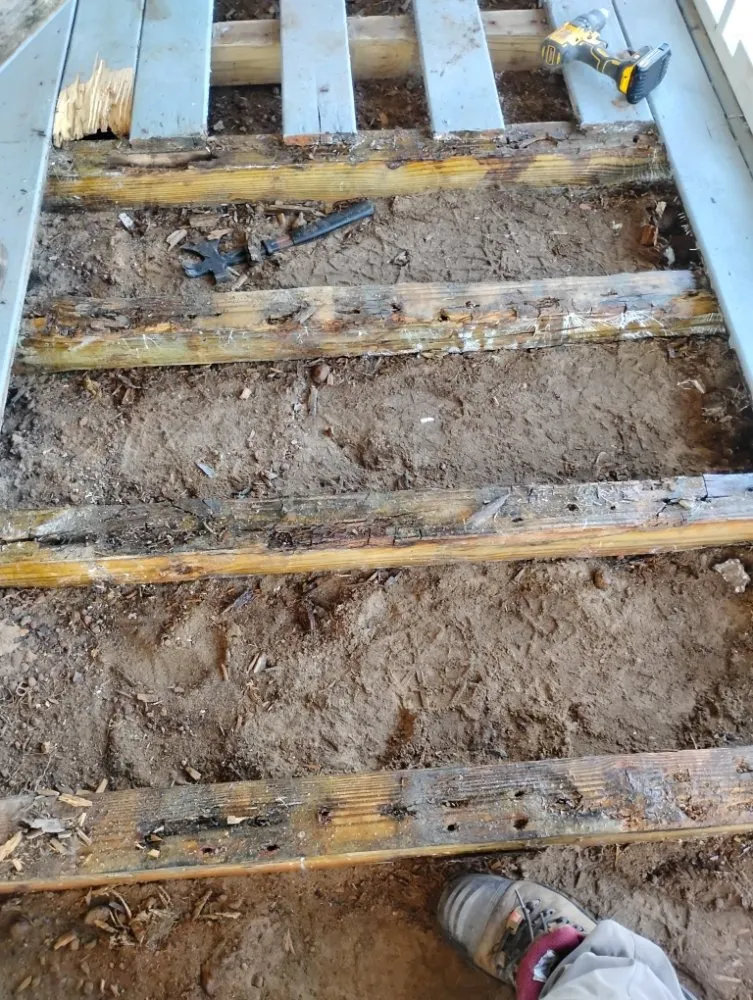 Custom yard cleanup service for residential properties in Douglas, GA by Cactus Jake's