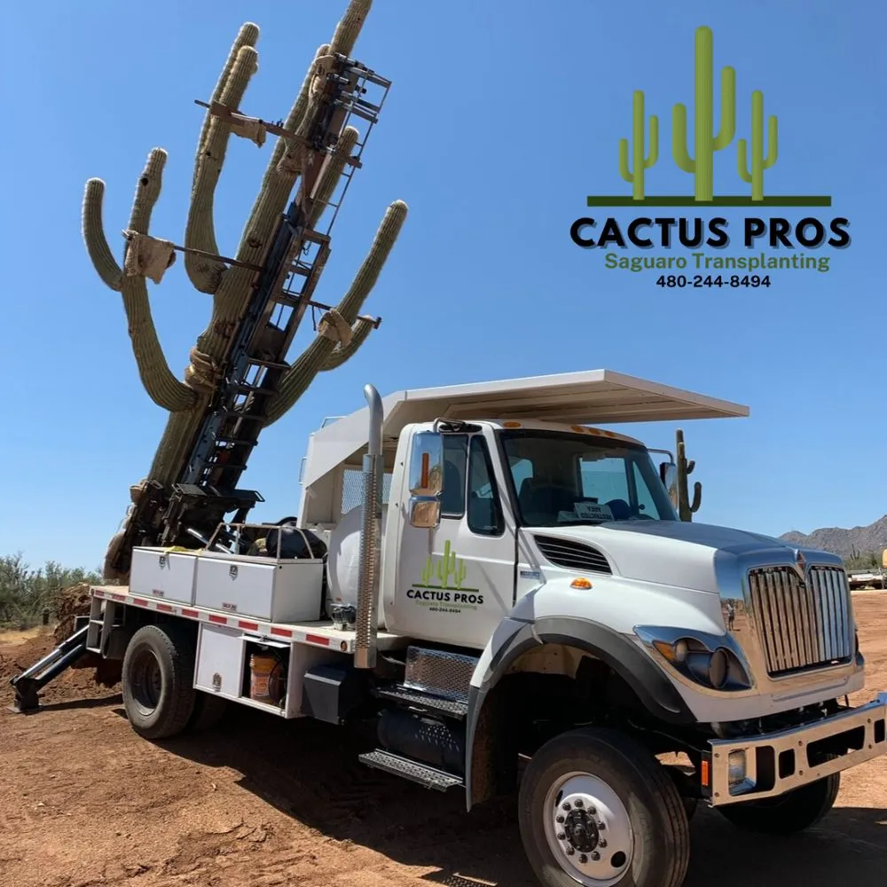 Local lawn care service for residential properties in Mesa, AZ by Cactus pros