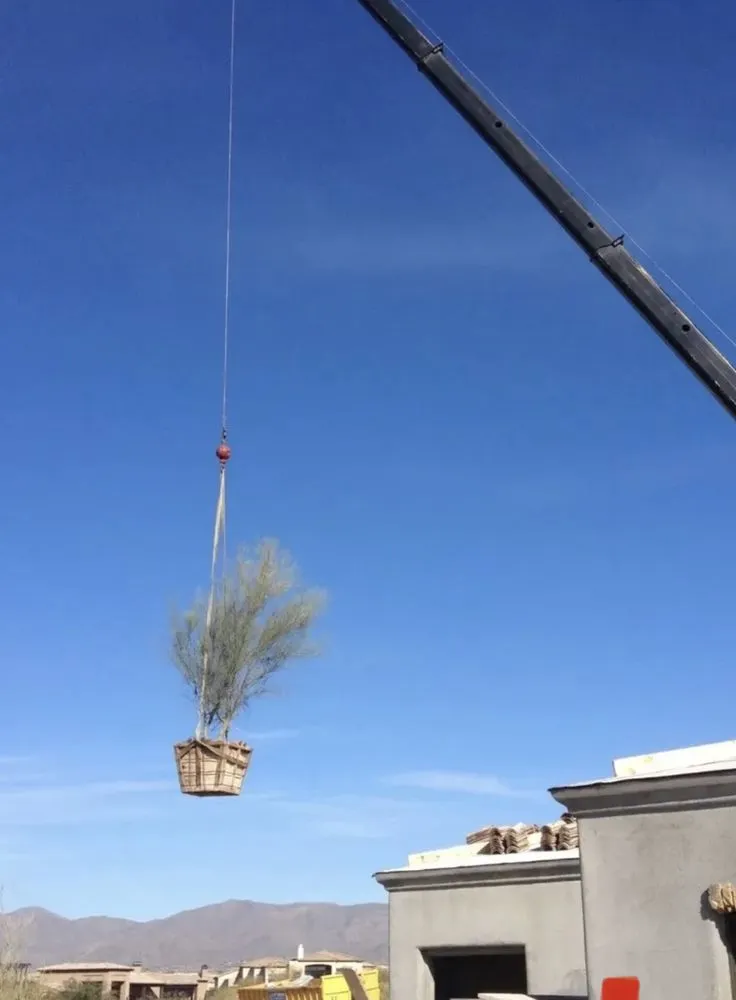 Top-rated lawn mowing service for homes across Mesa, AZ - Cactus pros