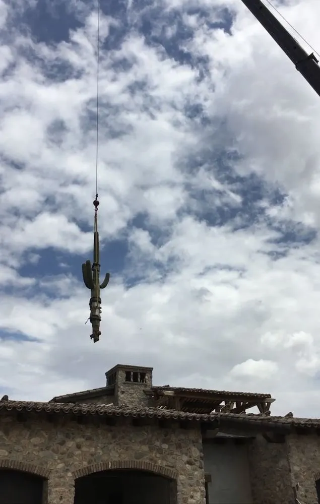 Professional landscape installation for year-round maintenance across Mesa, AZ - Cactus pros