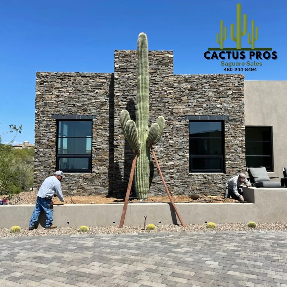 Trusted landscaping services for beautiful yards in Mesa, AZ by Cactus pros