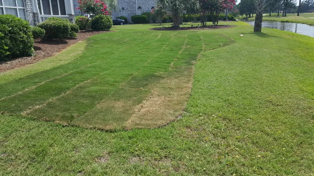 Reliable outdoor landscaping in Myrtle Beach, SC by Cactus Sands Landscapes