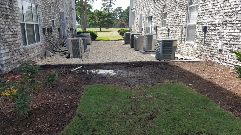 Trusted landscape design experts serving Myrtle Beach, SC - Cactus Sands Landscapes