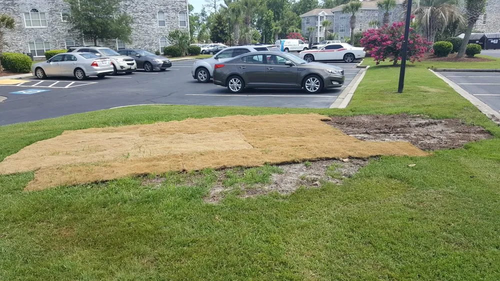 Professional lawn care service in Myrtle Beach, SC - Cactus Sands Landscapes