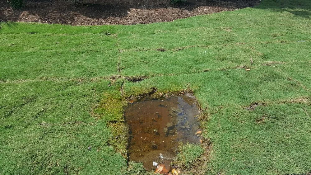 Expert lawn mowing service for year-round maintenance in Myrtle Beach, SC by Cactus Sands Landscapes