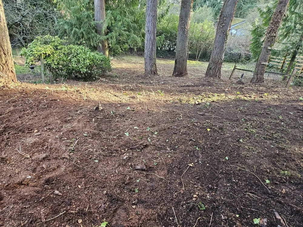 Professional yard maintenance in Snohomish, WA - Cactus