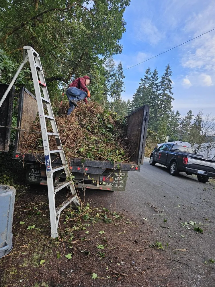 Top-rated lawn care service in Snohomish, WA by Cactus
