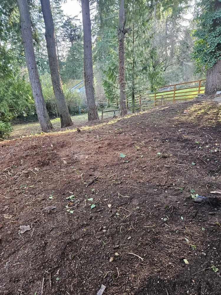 Professional lawn mowing service for residential properties across Snohomish, WA - Cactus