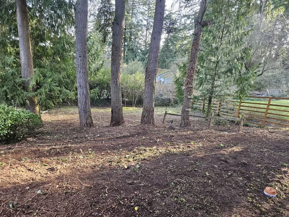 Professional residential landscaping in Snohomish, WA by Cactus