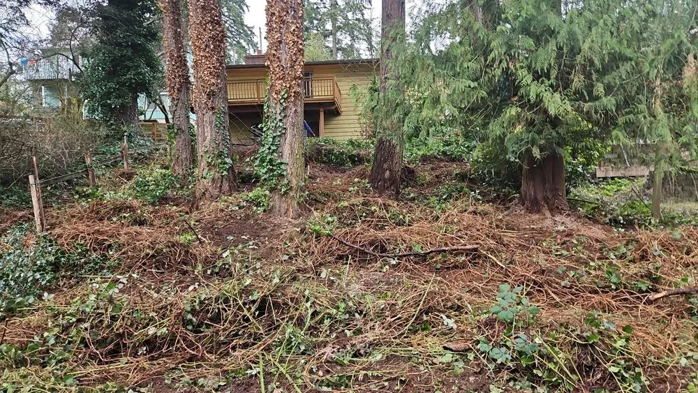 Top-rated landscape installation experts serving Snohomish, WA - Cactus