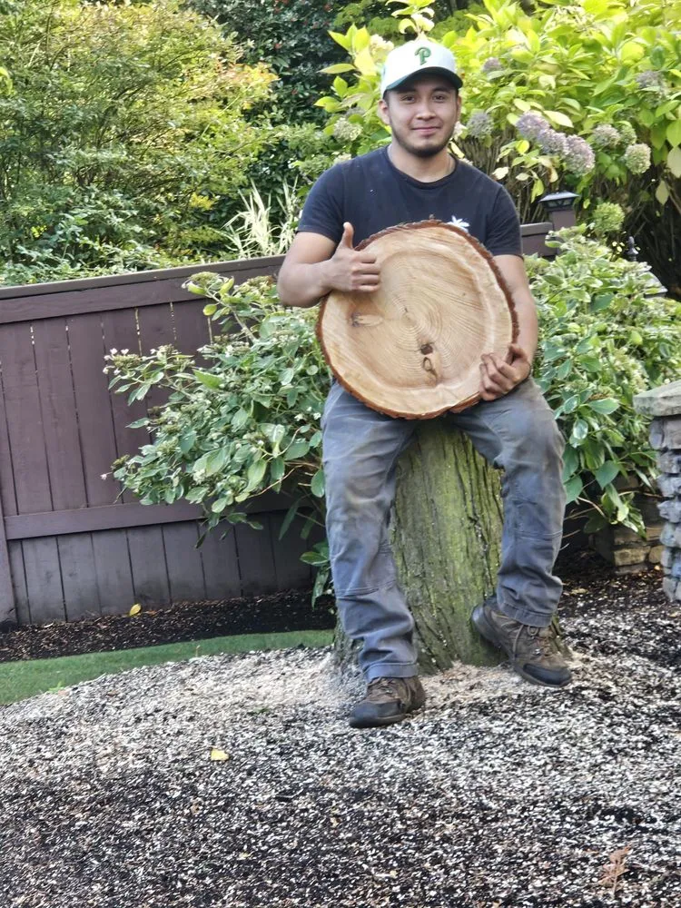 Affordable landscaping services for beautiful yards in Snohomish, WA by Cactus