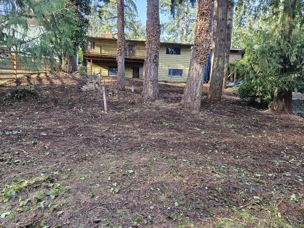 Trusted residential landscaping experts serving Snohomish, WA - Cactus