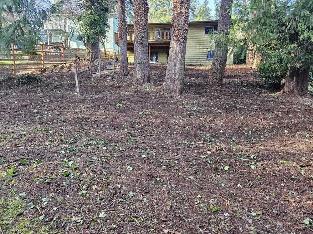 Trusted landscaping services for homes across Snohomish, WA - Cactus