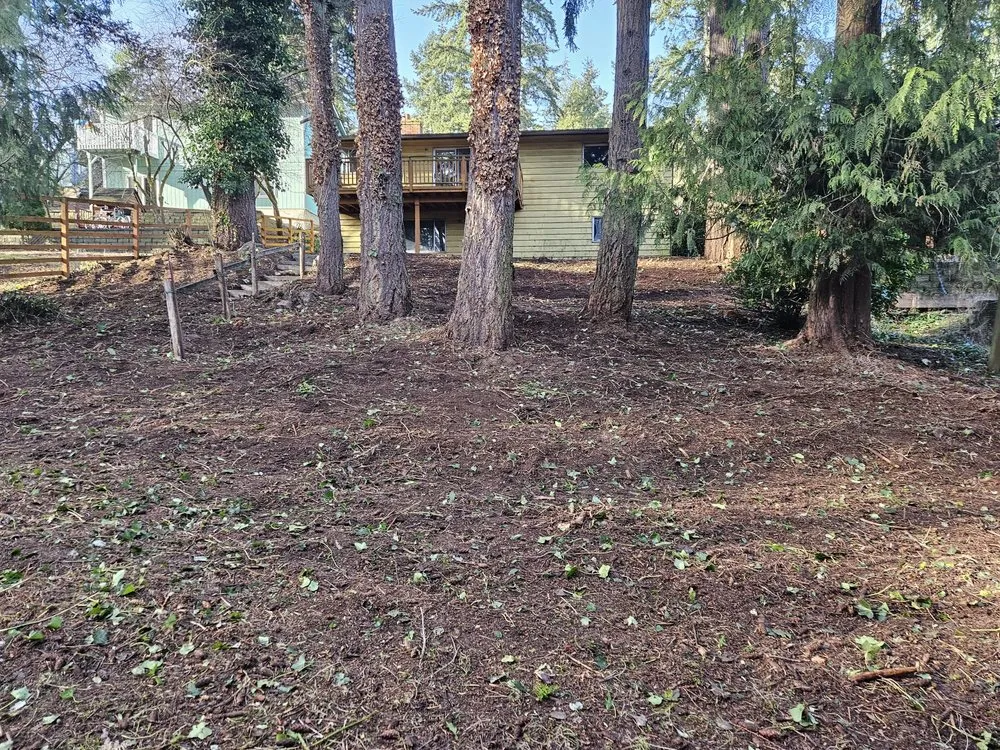 Affordable outdoor landscaping in Snohomish, WA - Cactus