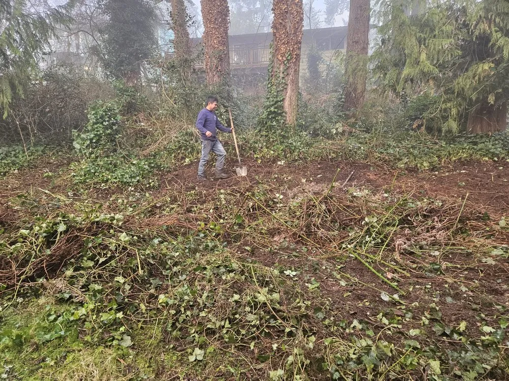 Trusted residential landscaping in Snohomish, WA by Cactus