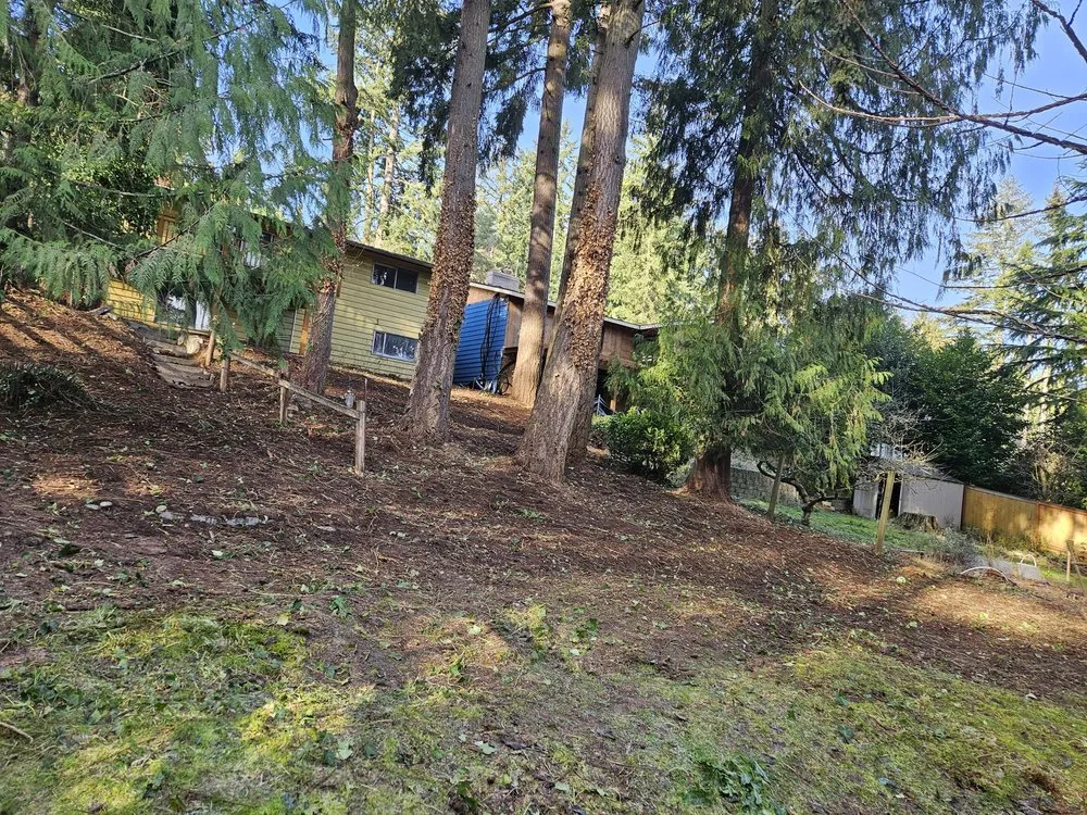 Professional yard cleanup service in Snohomish, WA - Cactus