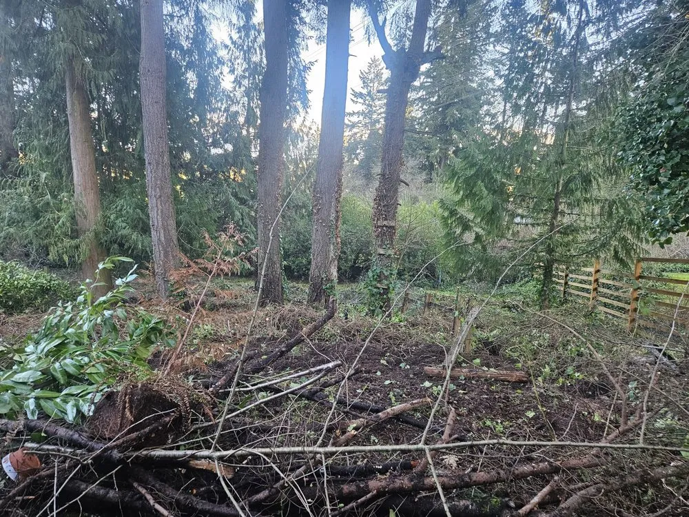 Expert lawn mowing service experts serving Snohomish, WA - Cactus