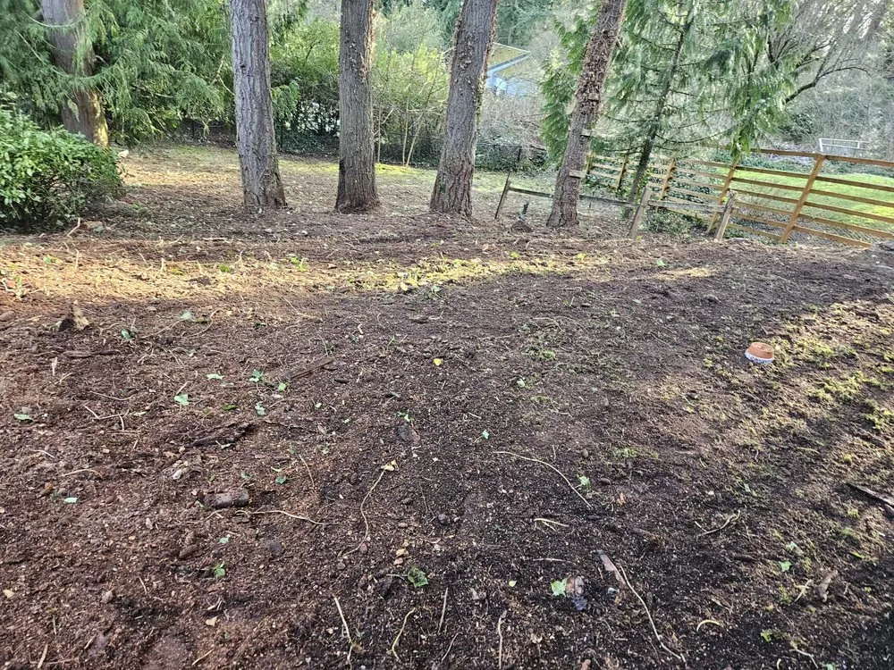 Reliable yard maintenance for homes in Snohomish, WA by Cactus