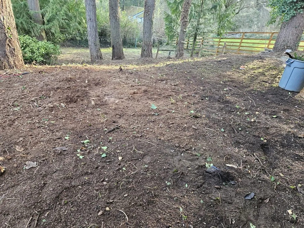 Custom residential landscaping for year-round maintenance in Snohomish, WA by Cactus