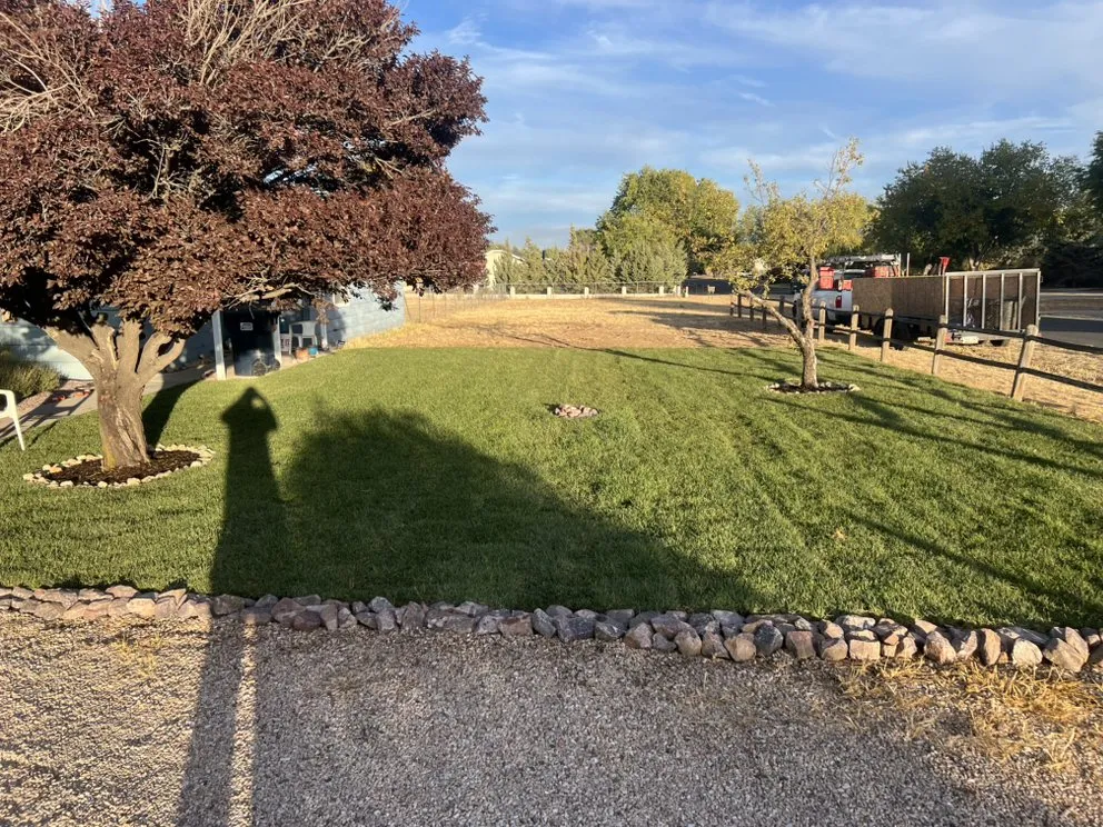 Top-rated yard cleanup service with custom design across Paulden, AZ - Cactus Wren Landscaping