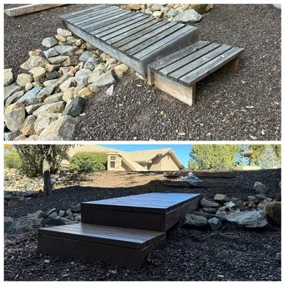 Cactus Wren Landscaping