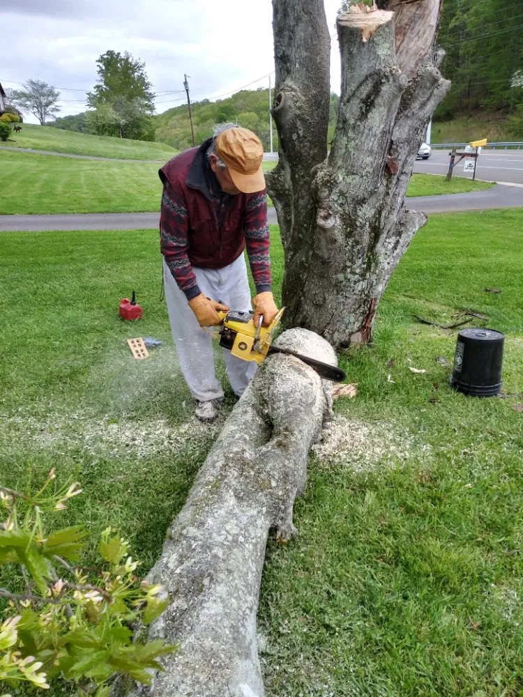 Expert yard cleanup service in Johnson City, TN by Cadco Lawn Care