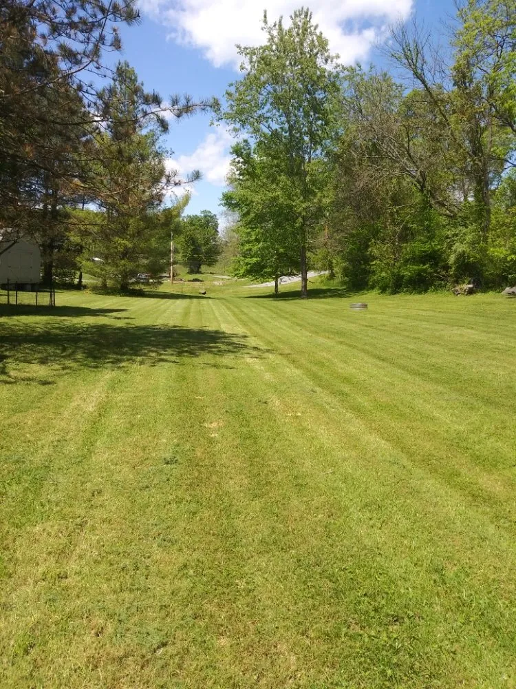 Top-rated landscaping services experts serving Johnson City, TN - Cadco Lawn Care