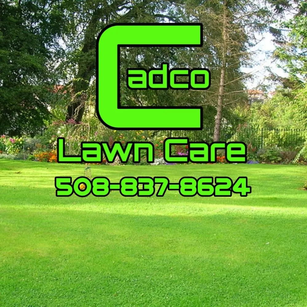 Affordable landscape installation for year-round maintenance across Johnson City, TN - Cadco Lawn Care
