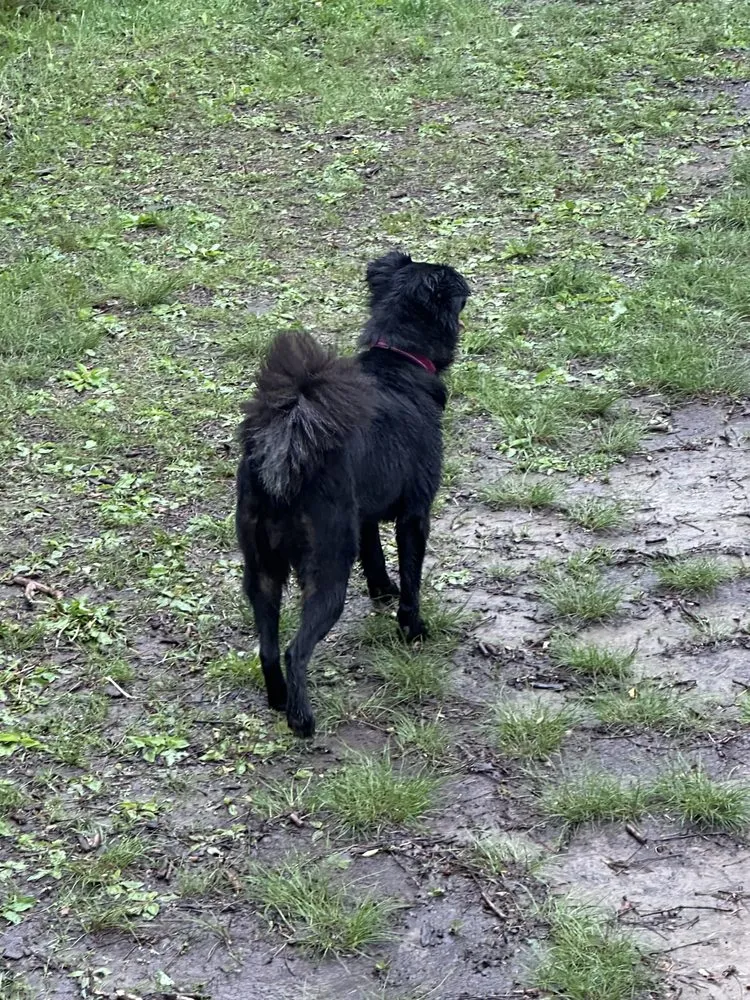 Professional yard cleanup service near you across Lannon, WI - Caddie Cuts