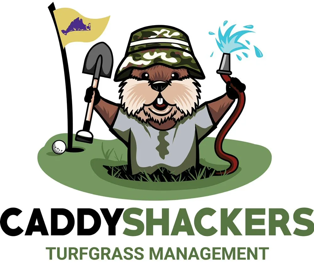 Custom yard maintenance for year-round maintenance across Oak Bluffs, MA - CaddyShackers Turfgrass Management