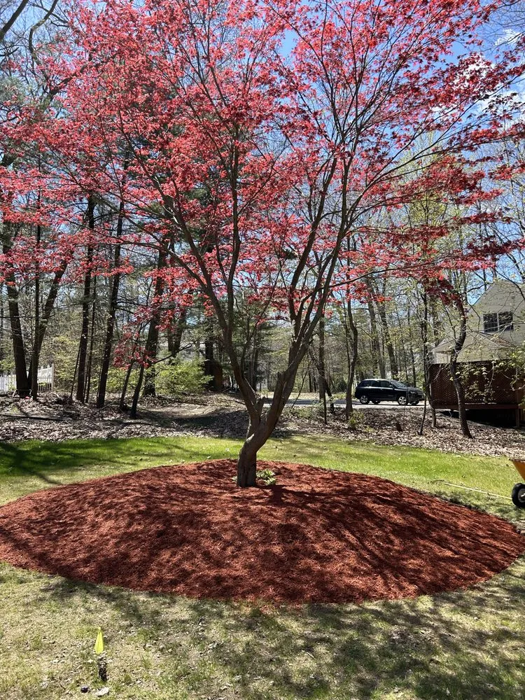 Top-rated lawn mowing service for beautiful yards in Seabrook, NH by Caden Reardon