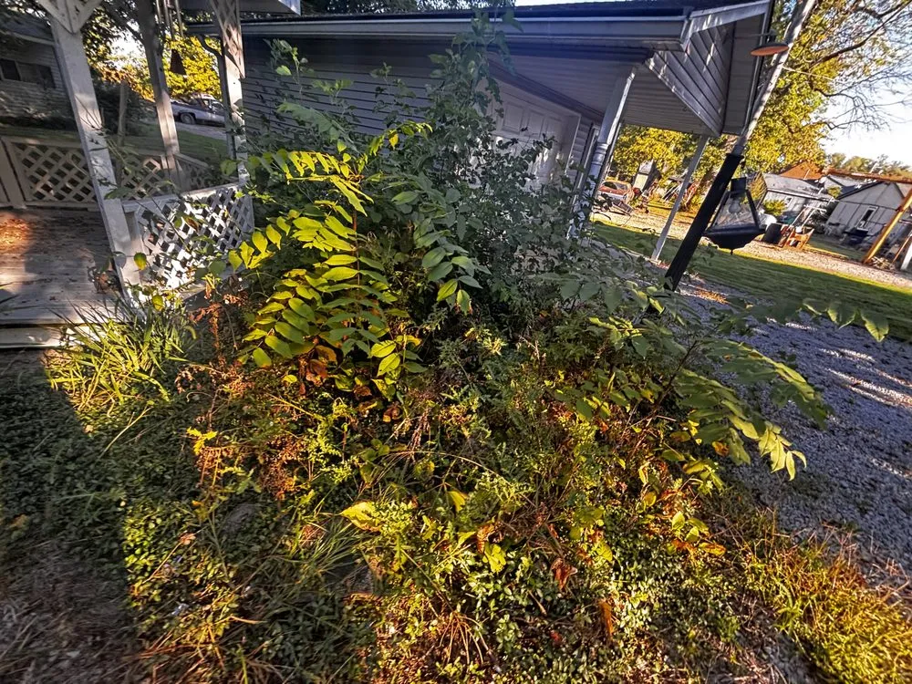 Local yard maintenance in Jamestown, IN - Cadens Junk Removal & landscaping