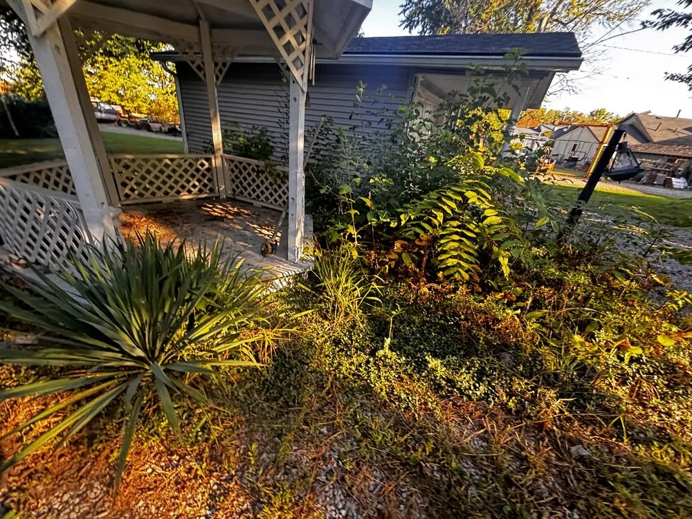 Expert outdoor landscaping experts serving Jamestown, IN - Cadens Junk Removal & landscaping