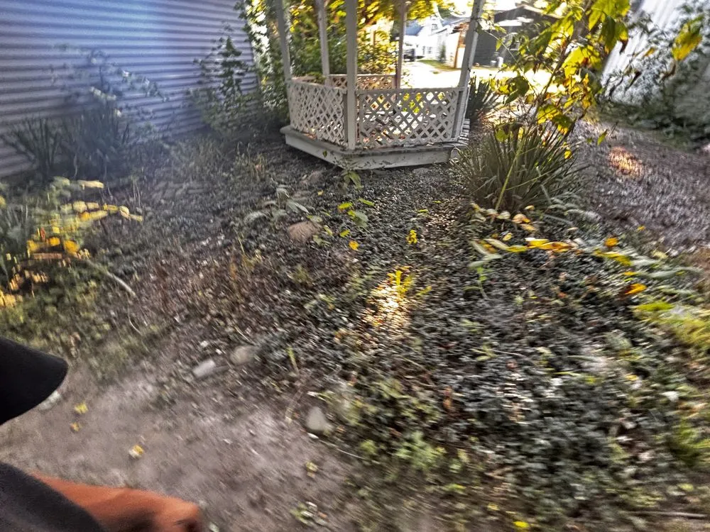 Expert landscape installation in Jamestown, IN - Cadens Junk Removal & landscaping