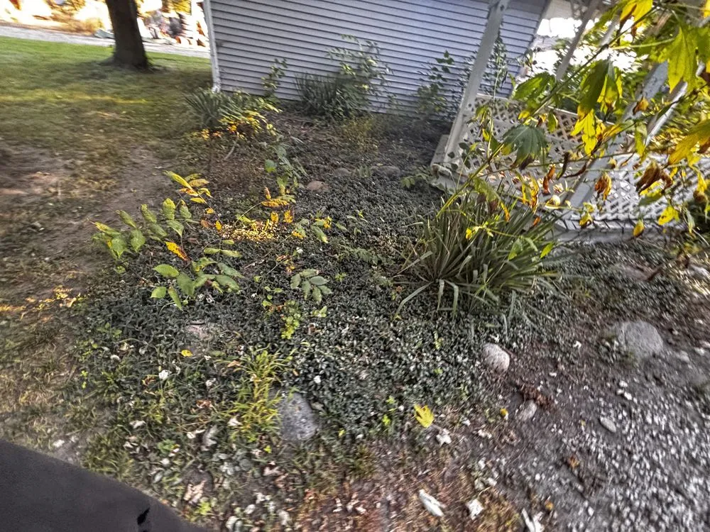 Trusted yard cleanup service for homes across Jamestown, IN - Cadens Junk Removal & landscaping