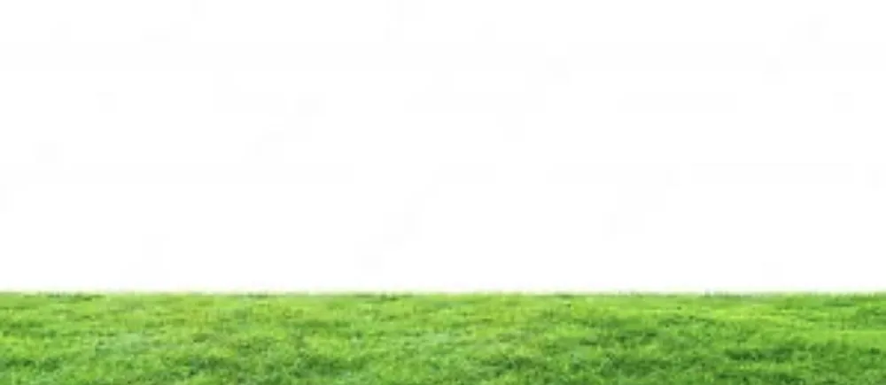 Professional lawn care service in Warren, OH - Cadens Mowing