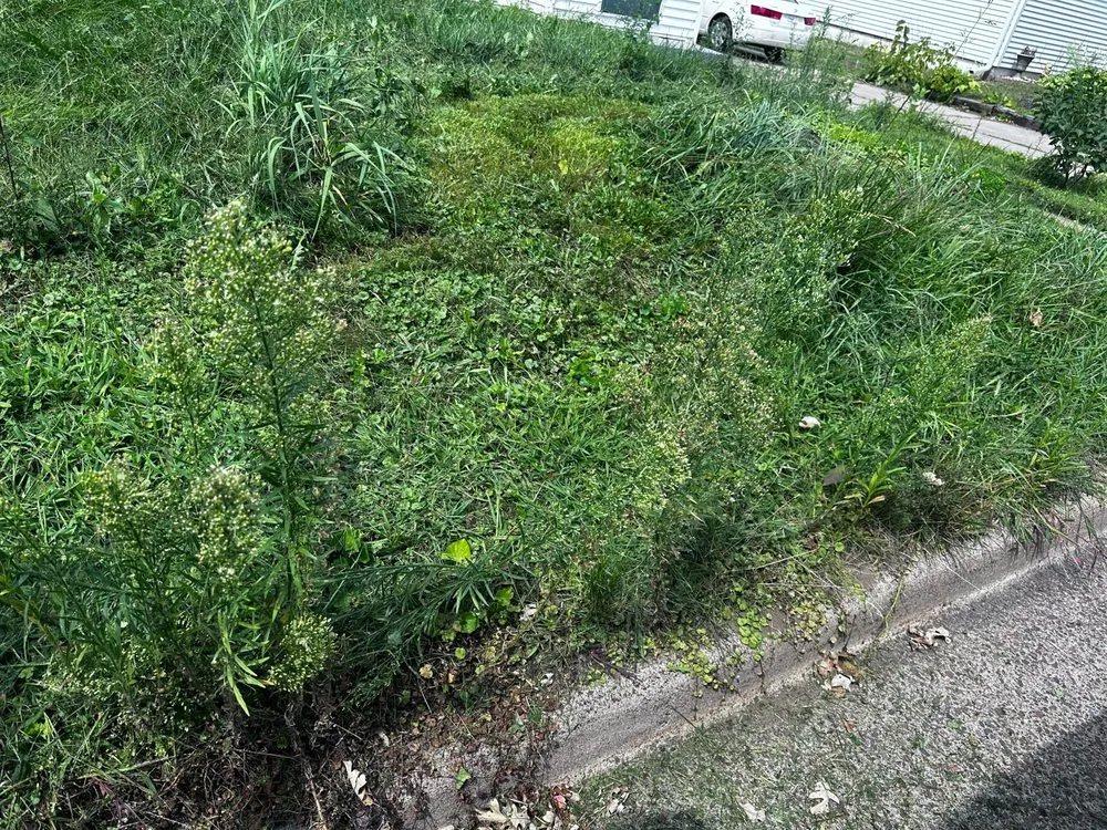 Affordable garden landscaping for beautiful yards in Chippewa Falls, WI by Cadott Lawn Care