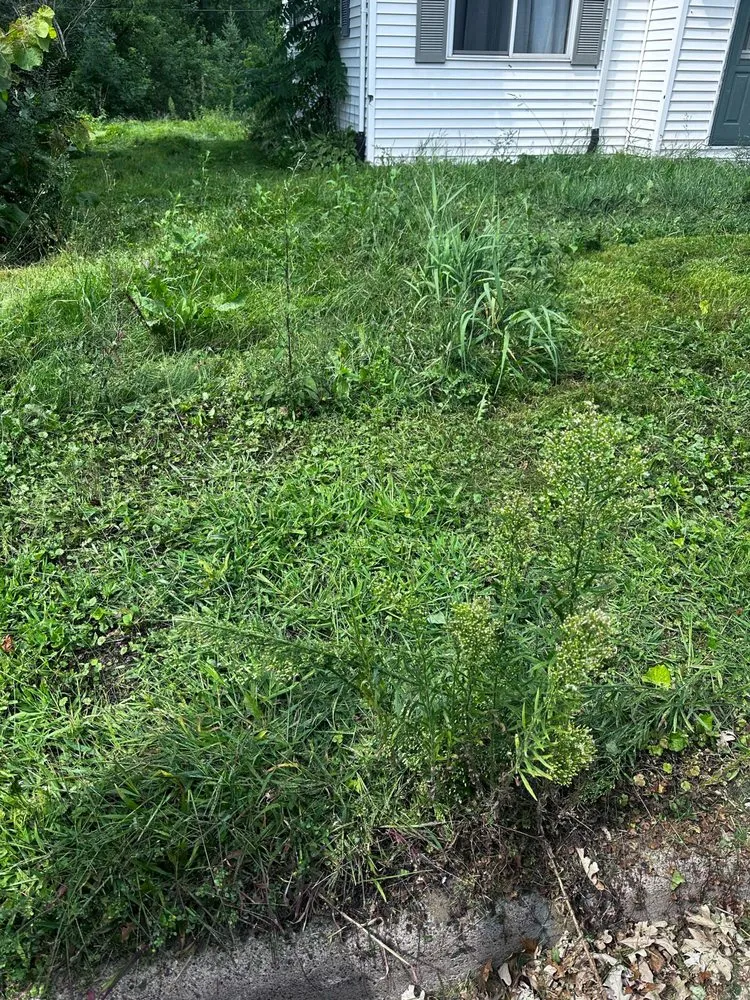 Expert yard cleanup service for outdoor upgrades across Chippewa Falls, WI - Cadott Lawn Care