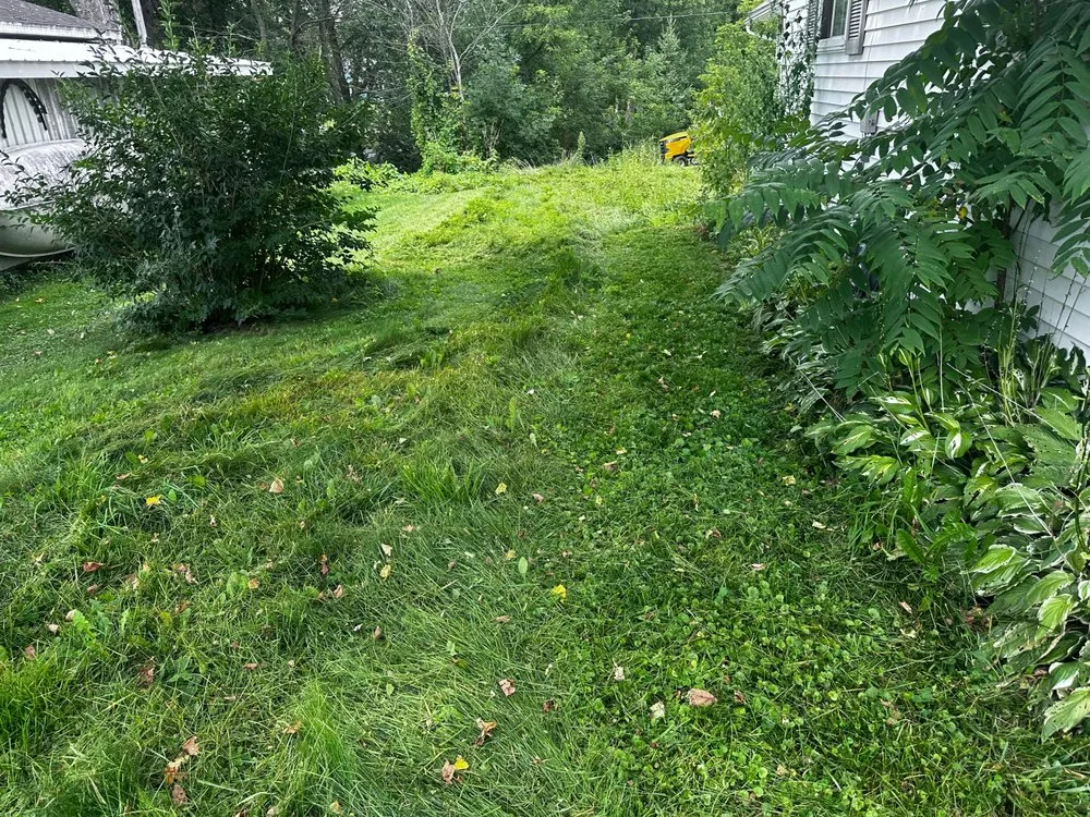 Local landscape design experts serving Chippewa Falls, WI - Cadott Lawn Care