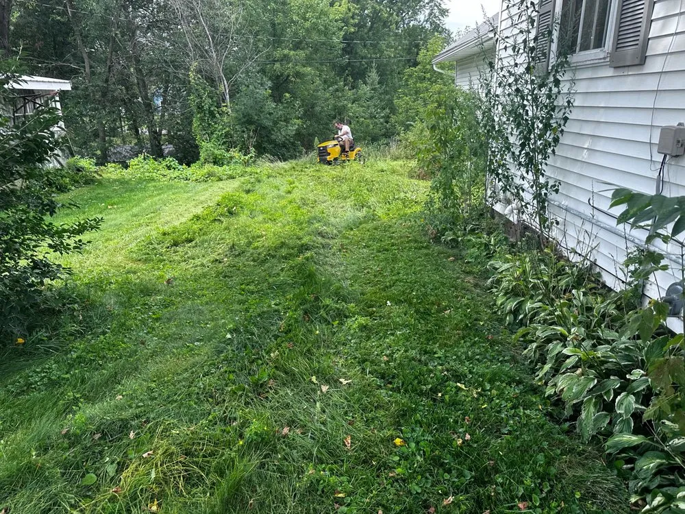 Top-rated yard cleanup service in Chippewa Falls, WI - Cadott Lawn Care