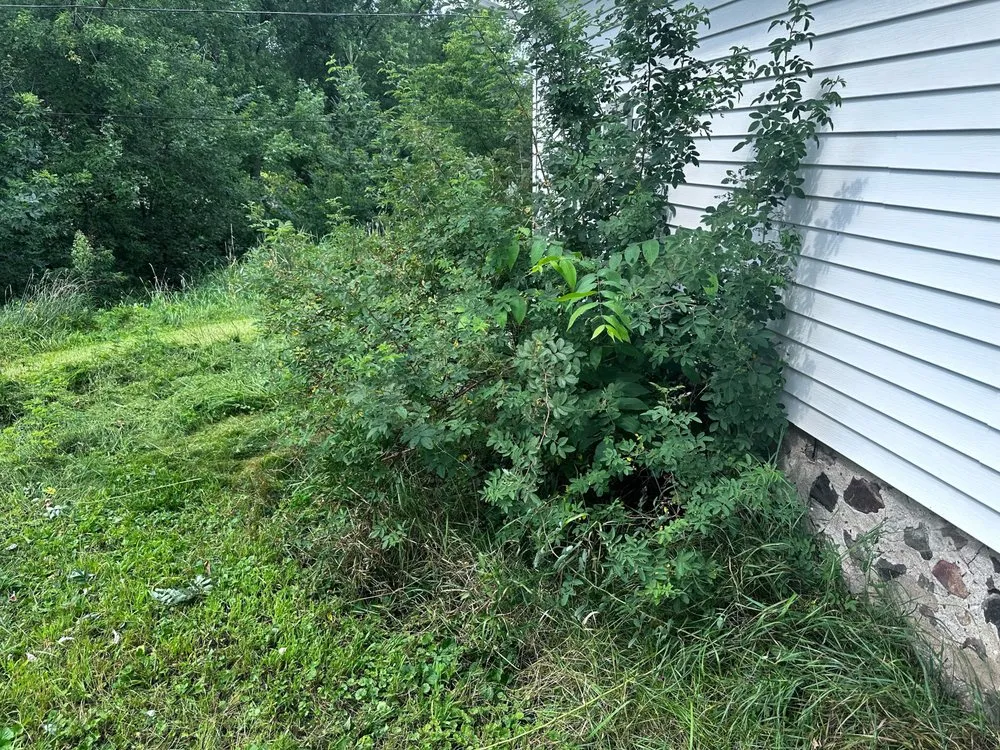 Local lawn mowing service experts serving Chippewa Falls, WI - Cadott Lawn Care