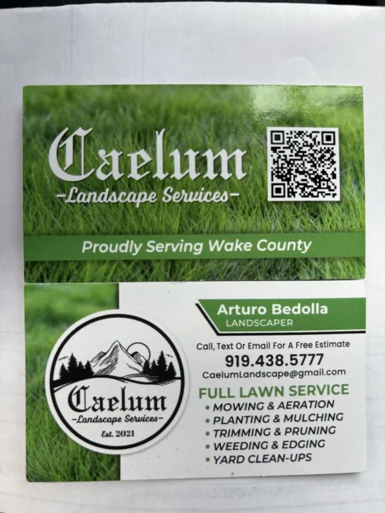 Professional yard cleanup service with custom design in Garner, NC by Caelum Landscape Services