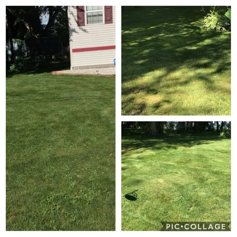 Top-rated landscape installation for residential properties across Akron, OH - Caffees Lawn Care