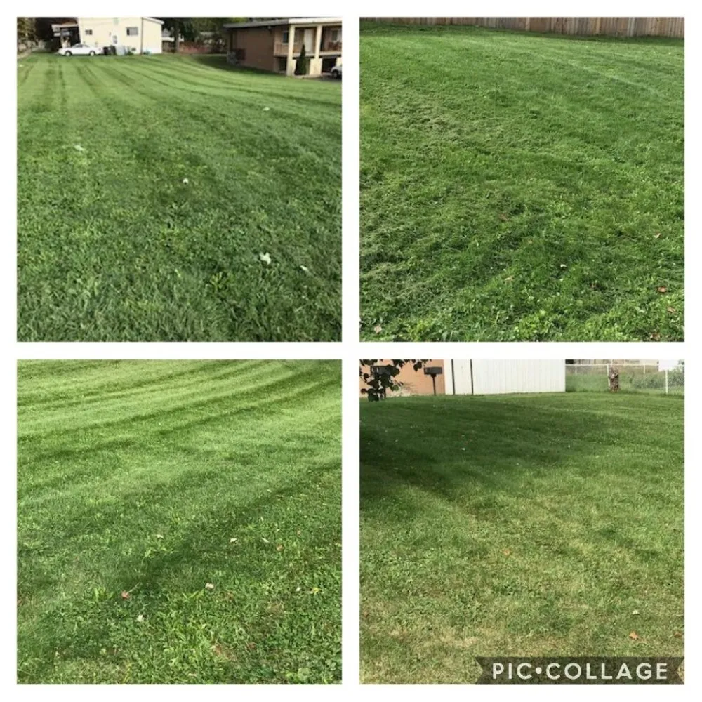 Top-rated lawn care service for outdoor upgrades in Akron, OH by Caffees Lawn Care