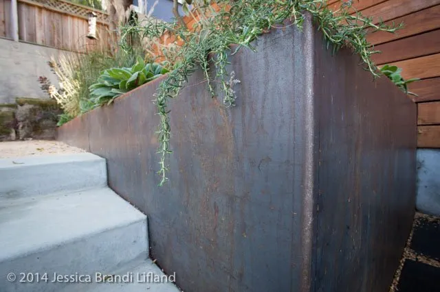 Expert yard maintenance in San Rafael, CA by Caffrey Landscapes