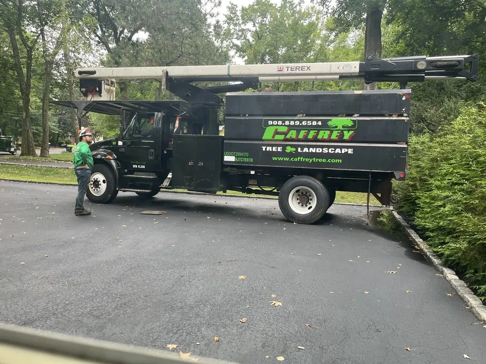 Affordable outdoor landscaping in Scotch Plains, NJ - Caffrey Tree & Landscape
