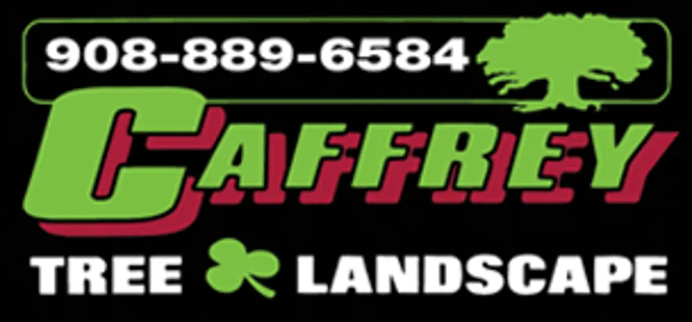 Expert yard cleanup service for year-round maintenance in Scotch Plains, NJ by Caffrey Tree & Landscape